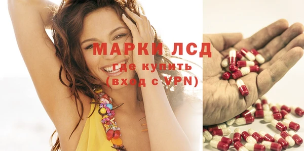 прущие грибы Кулебаки