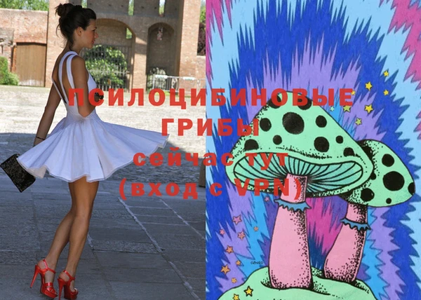 дживик Куйбышев