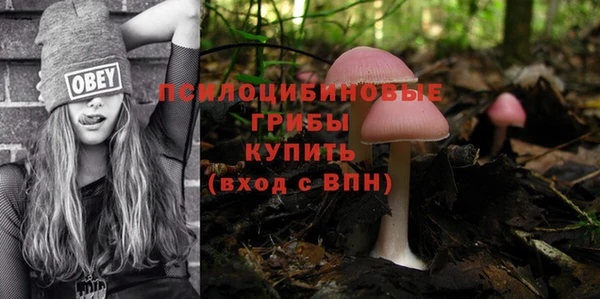 дживик Куйбышев