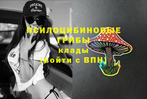 амф Кукмор