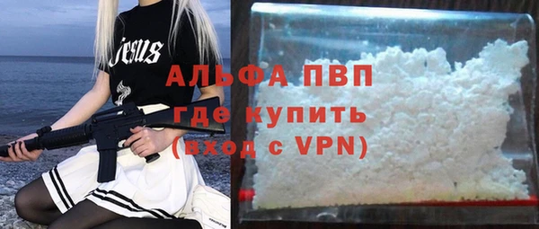 прущие грибы Кулебаки